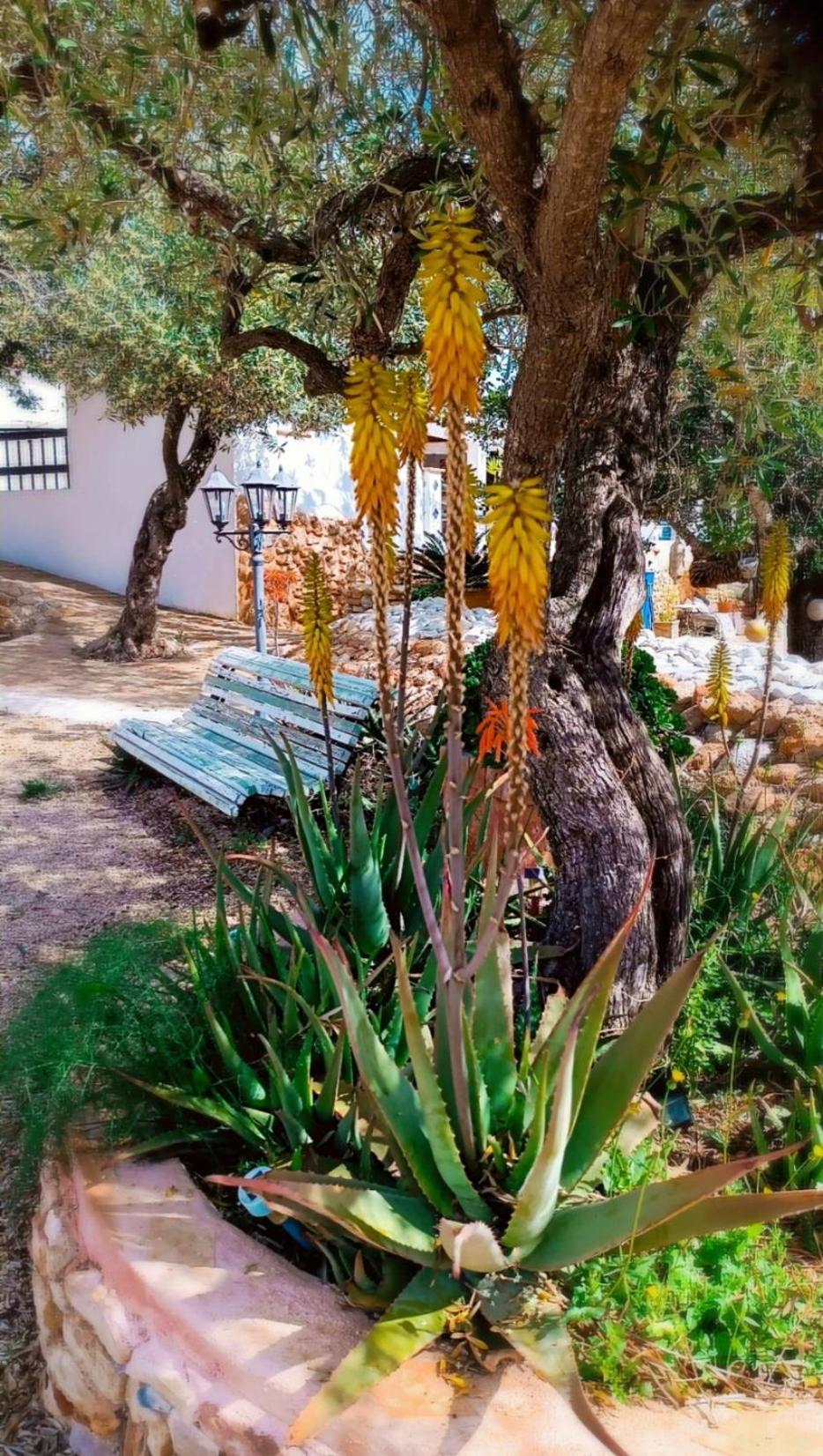 Flaire Mar Villa Tarragona Kültér fotó